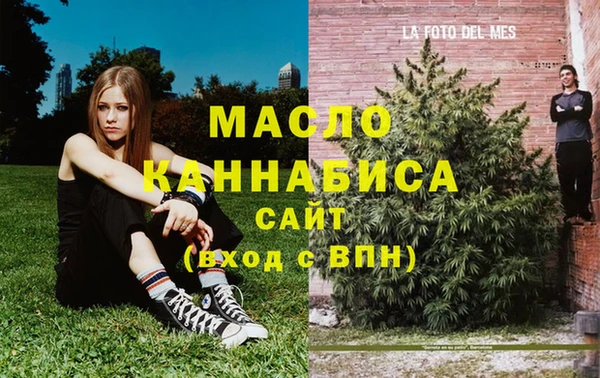 молекула духа Новодвинск