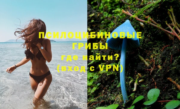 трава Алексин