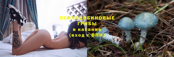 трава Алексеевка
