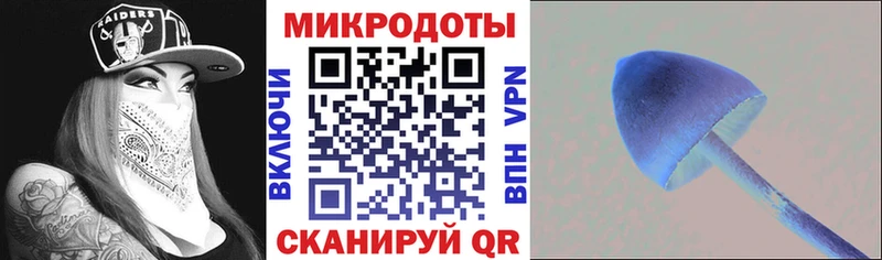 гидра ссылки Аргун Галлюциногенные грибы GOLDEN TEACHER